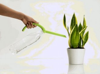 Полив растений при помощи лейки